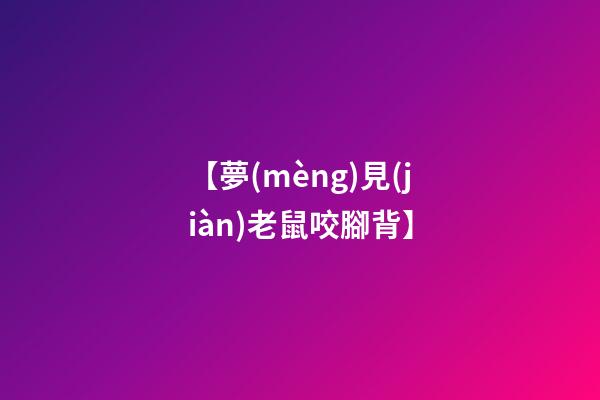【夢(mèng)見(jiàn)老鼠咬腳背】