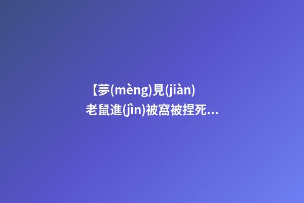 【夢(mèng)見(jiàn)老鼠進(jìn)被窩被捏死】