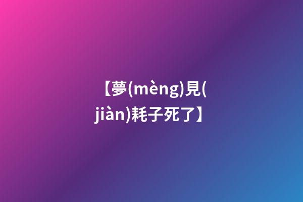 【夢(mèng)見(jiàn)耗子死了】