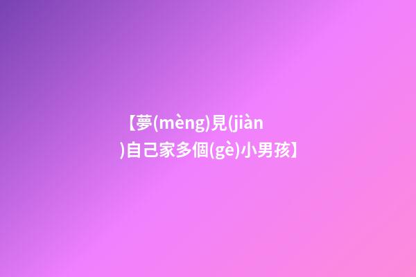 【夢(mèng)見(jiàn)自己家多個(gè)小男孩】
