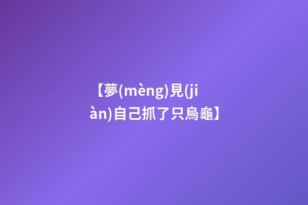 【夢(mèng)見(jiàn)自己抓了只烏龜】