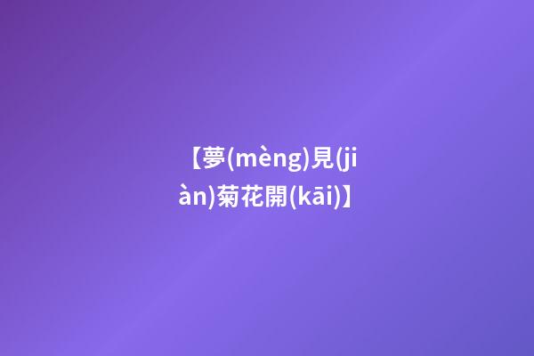 【夢(mèng)見(jiàn)菊花開(kāi)】