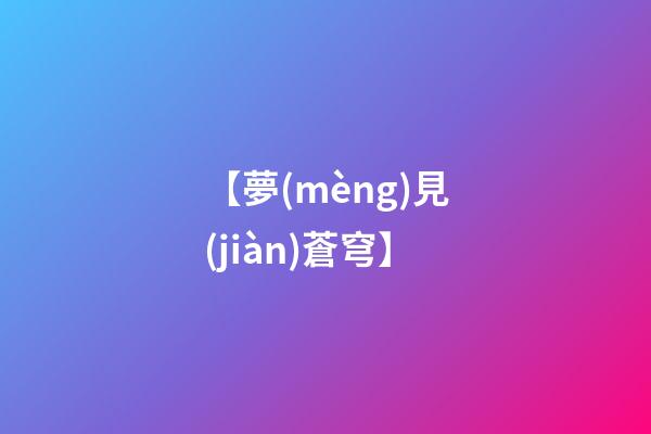 【夢(mèng)見(jiàn)蒼穹】