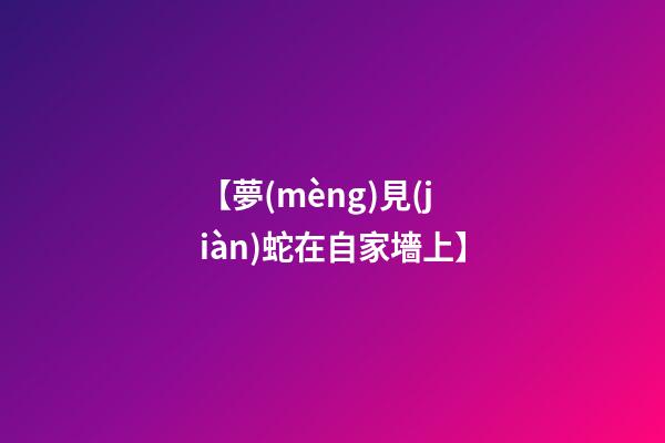 【夢(mèng)見(jiàn)蛇在自家墻上】