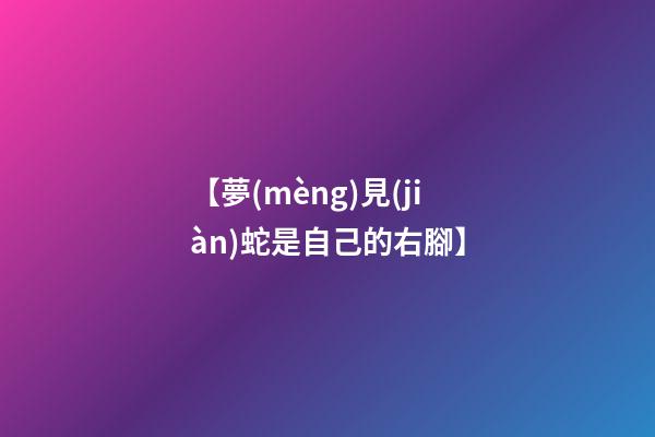 【夢(mèng)見(jiàn)蛇是自己的右腳】