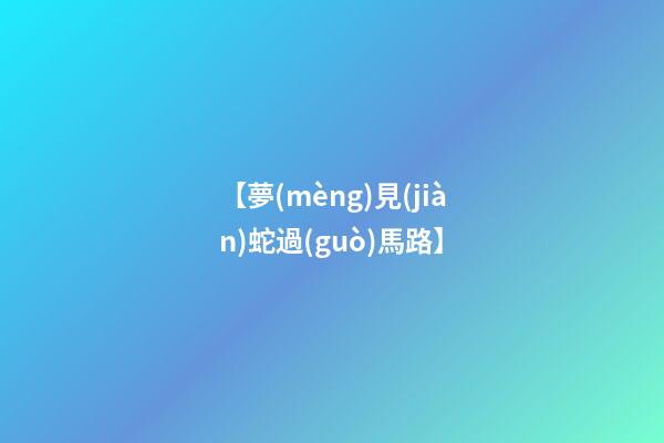 【夢(mèng)見(jiàn)蛇過(guò)馬路】