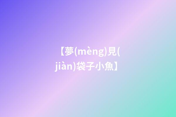 【夢(mèng)見(jiàn)袋子小魚】
