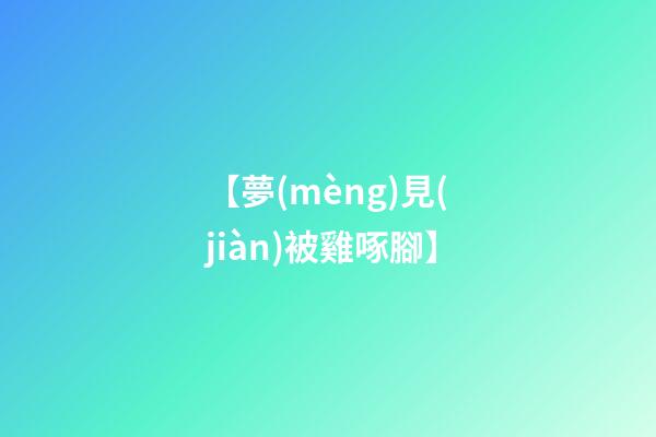【夢(mèng)見(jiàn)被雞啄腳】