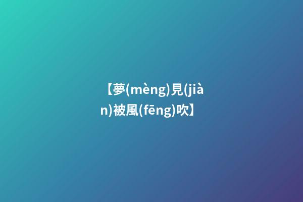 【夢(mèng)見(jiàn)被風(fēng)吹】
