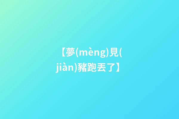 【夢(mèng)見(jiàn)豬跑丟了】