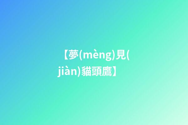 【夢(mèng)見(jiàn)貓頭鷹】