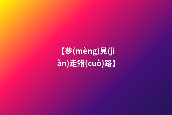 【夢(mèng)見(jiàn)走錯(cuò)路】