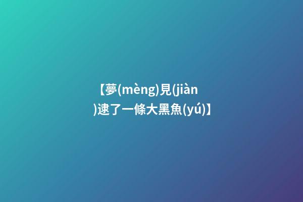 【夢(mèng)見(jiàn)逮了一條大黑魚(yú)】