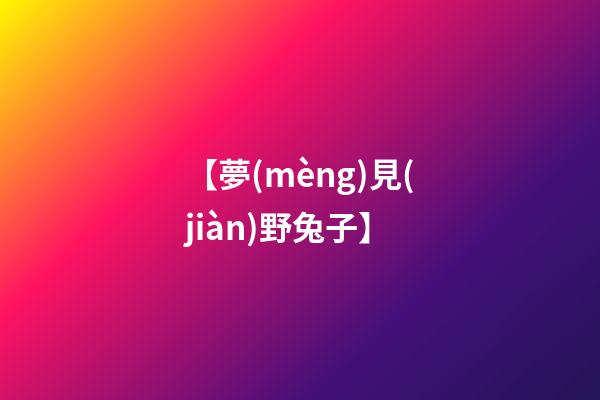 【夢(mèng)見(jiàn)野兔子】