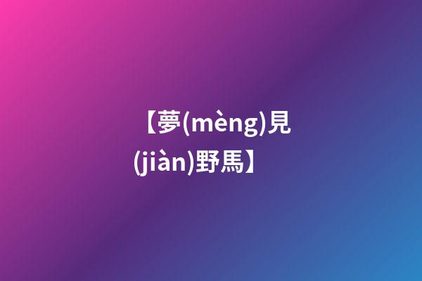 【夢(mèng)見(jiàn)野馬】