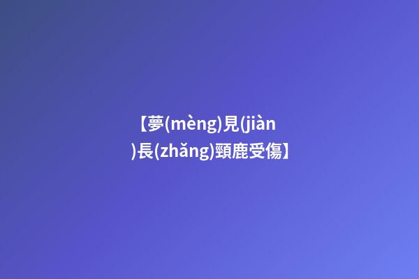 【夢(mèng)見(jiàn)長(zhǎng)頸鹿受傷】