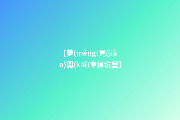【夢(mèng)見(jiàn)開(kāi)車掉坑里】