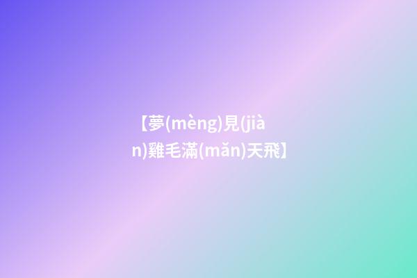 【夢(mèng)見(jiàn)雞毛滿(mǎn)天飛】