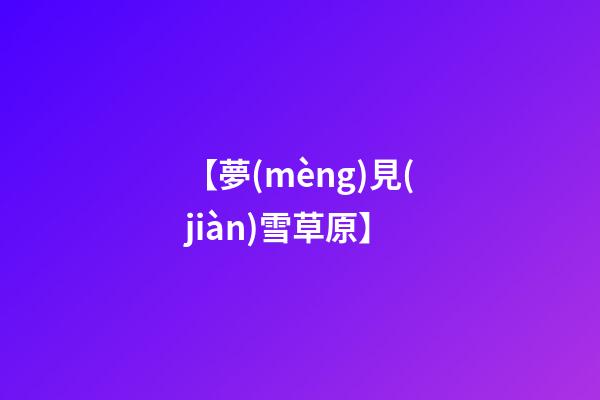 【夢(mèng)見(jiàn)雪草原】