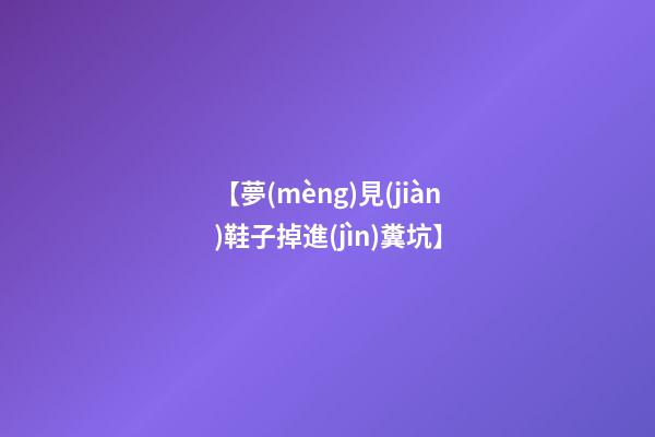 【夢(mèng)見(jiàn)鞋子掉進(jìn)糞坑】