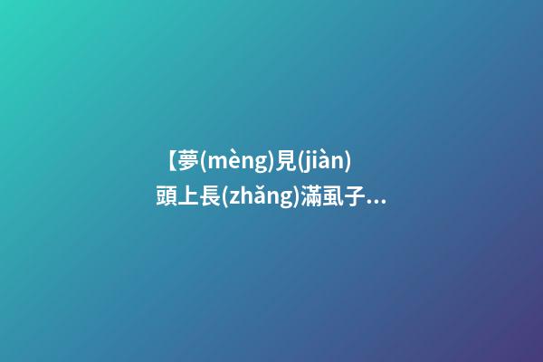 【夢(mèng)見(jiàn)頭上長(zhǎng)滿虱子】