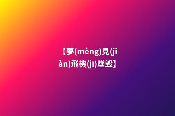 【夢(mèng)見(jiàn)飛機(jī)墜毀】