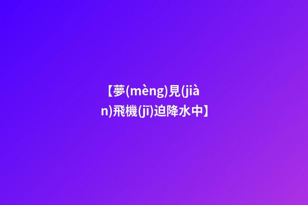 【夢(mèng)見(jiàn)飛機(jī)迫降水中】