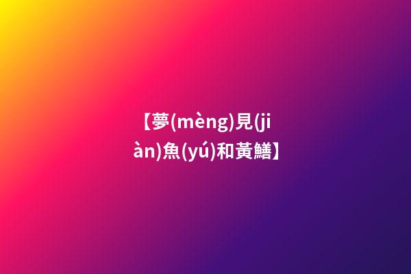 【夢(mèng)見(jiàn)魚(yú)和黃鱔】