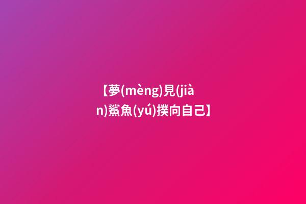 【夢(mèng)見(jiàn)鯊魚(yú)撲向自己】