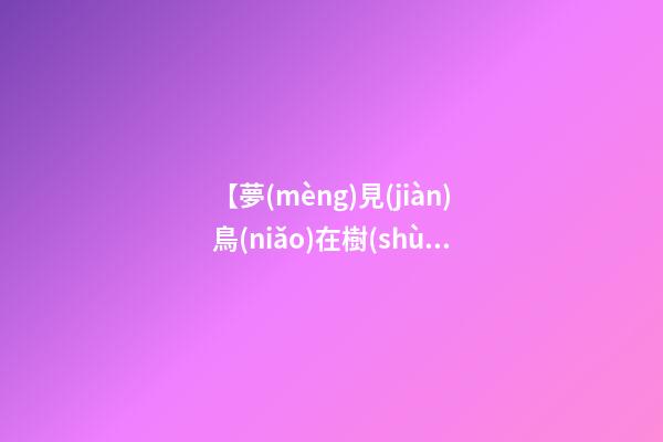 【夢(mèng)見(jiàn)鳥(niǎo)在樹(shù)上】