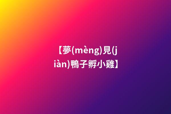 【夢(mèng)見(jiàn)鴨子孵小雞】