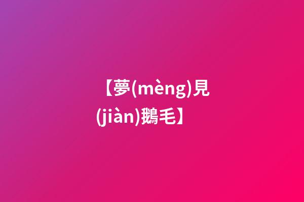 【夢(mèng)見(jiàn)鵝毛】