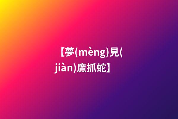 【夢(mèng)見(jiàn)鷹抓蛇】