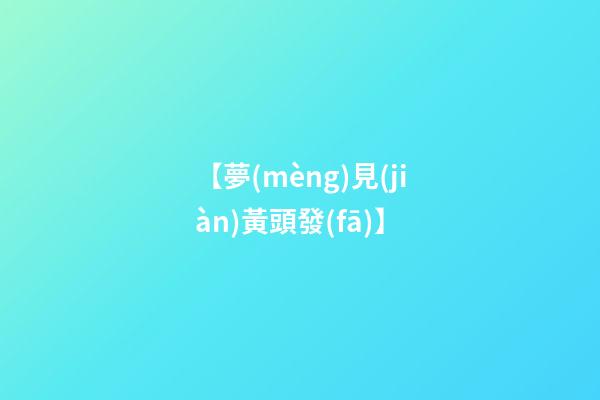 【夢(mèng)見(jiàn)黃頭發(fā)】