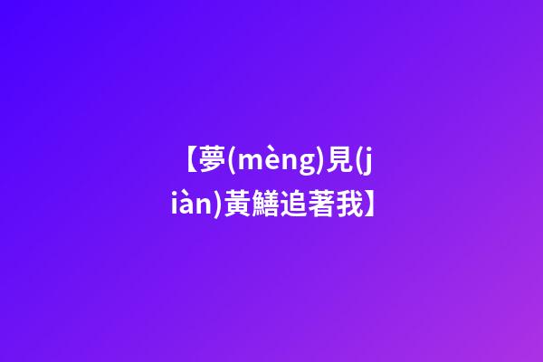【夢(mèng)見(jiàn)黃鱔追著我】