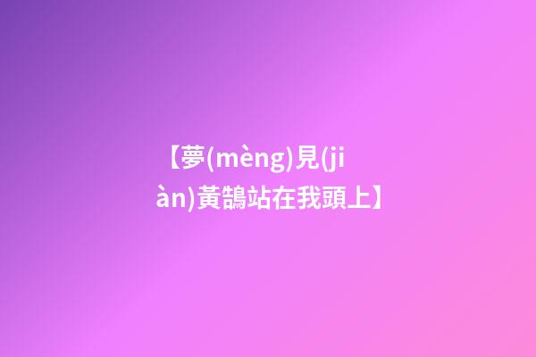 【夢(mèng)見(jiàn)黃鵠站在我頭上】