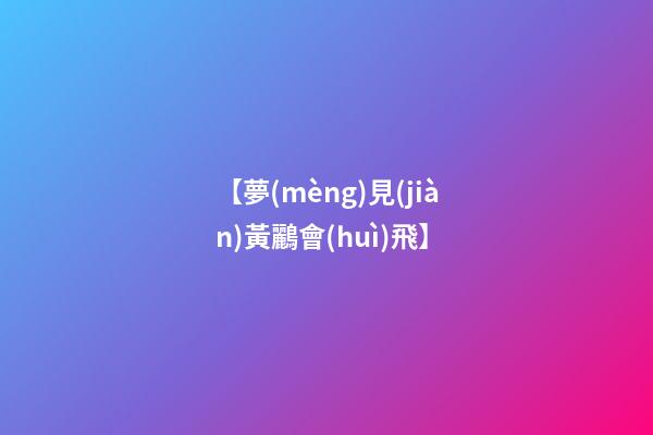 【夢(mèng)見(jiàn)黃鸝會(huì)飛】