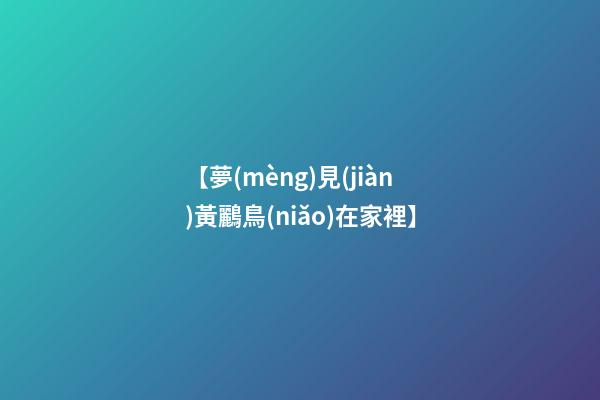 【夢(mèng)見(jiàn)黃鸝鳥(niǎo)在家裡】