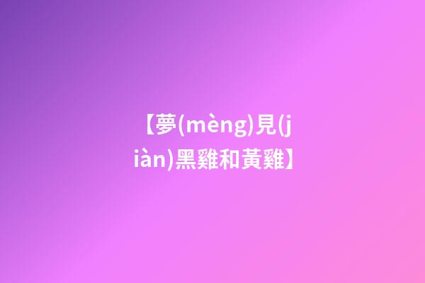 【夢(mèng)見(jiàn)黑雞和黃雞】
