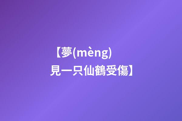 【夢(mèng)見一只仙鶴受傷】