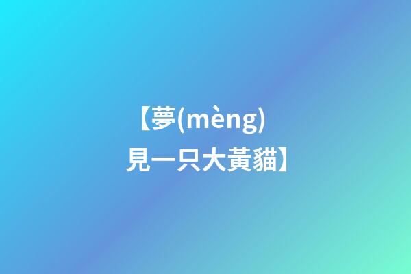 【夢(mèng)見一只大黃貓】