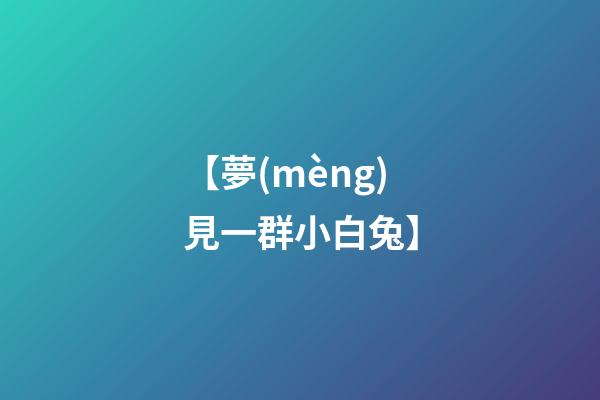 【夢(mèng)見一群小白兔】