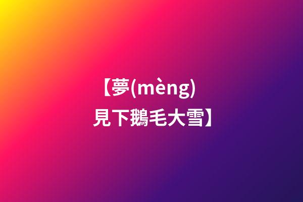 【夢(mèng)見下鵝毛大雪】
