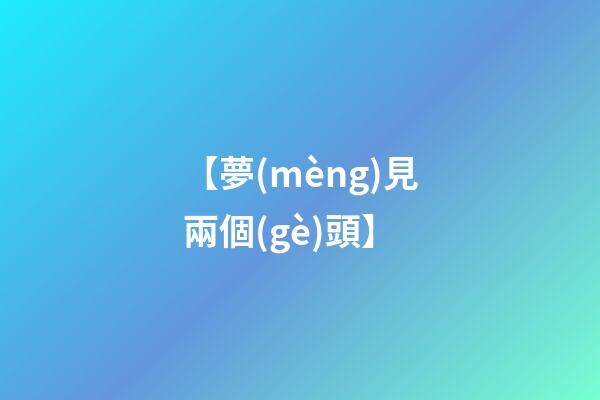 【夢(mèng)見兩個(gè)頭】