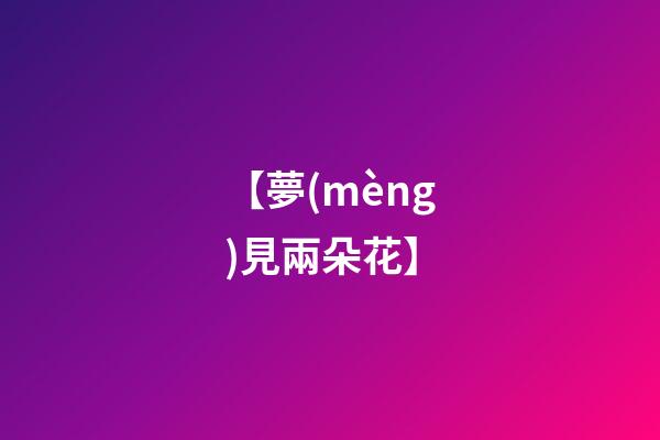【夢(mèng)見兩朵花】
