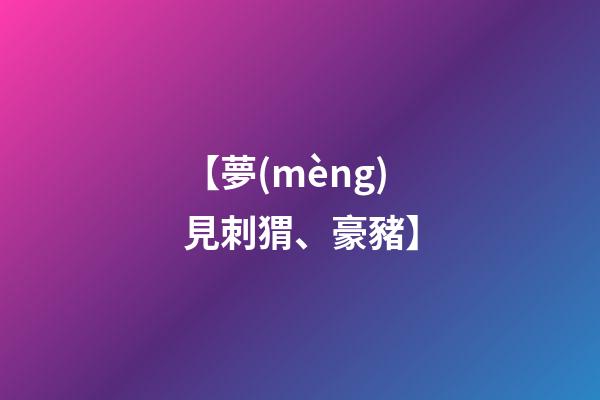 【夢(mèng)見刺猬、豪豬】