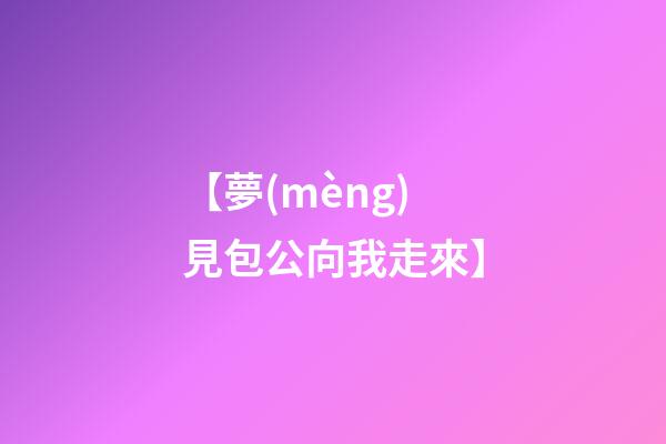 【夢(mèng)見包公向我走來】