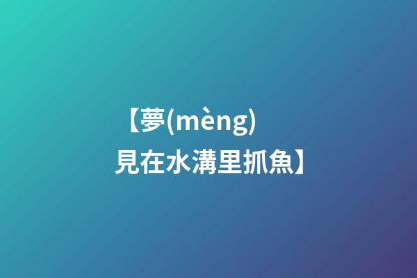【夢(mèng)見在水溝里抓魚】