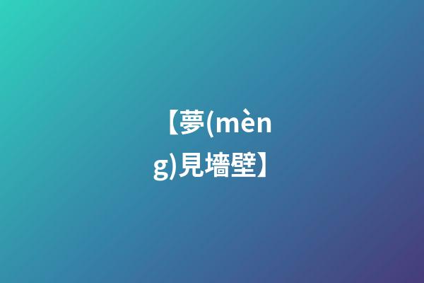 【夢(mèng)見墻壁】