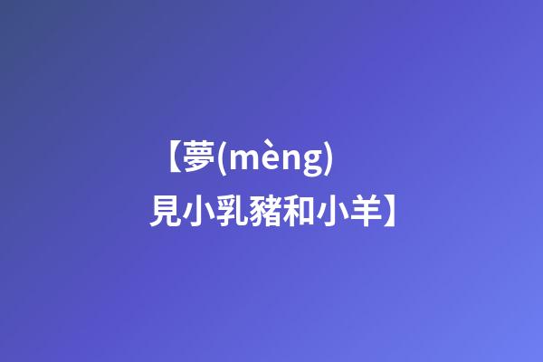 【夢(mèng)見小乳豬和小羊】